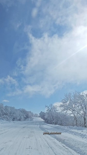 1s8Aj FIAHCfuiil.jpg