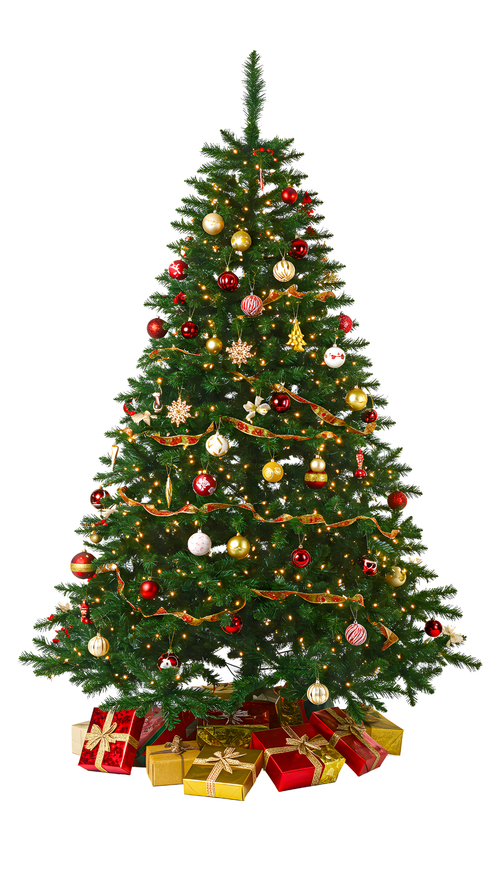 Desain tanpa judul (3).png