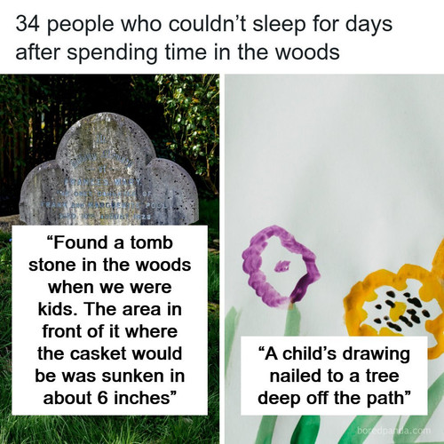 creepy world curiosities.jpg