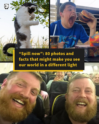 interesting facts photos spillnow.jpg