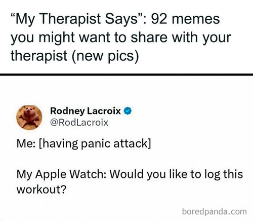 funny memes my therapist says.jpg