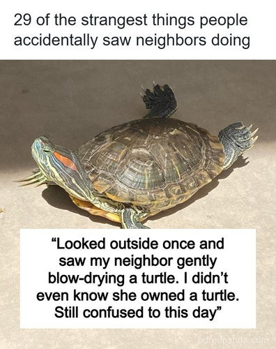 unexpected thing seen neighbors window.jpg