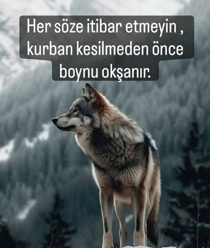 G8tGQj9X0AAhA5J.jpg