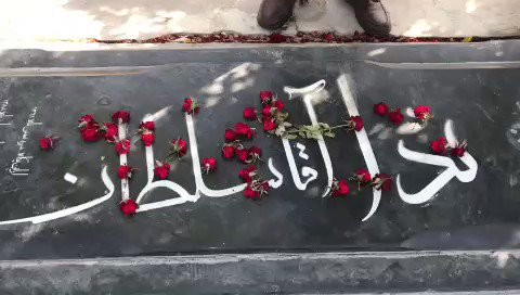 62pmt5tzk5JZ vvD.jpg