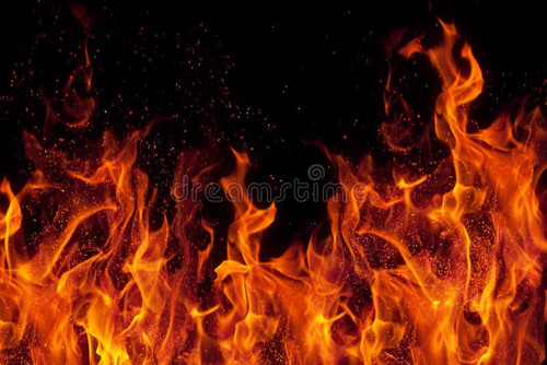 image search 1765190649083.jpg