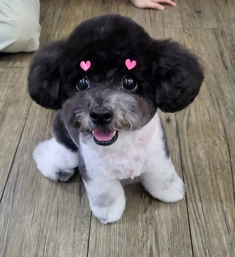 화면 캡처 2025 12 23 202749.jpg
