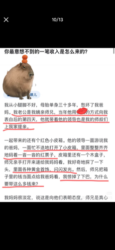 IMG 8195.png