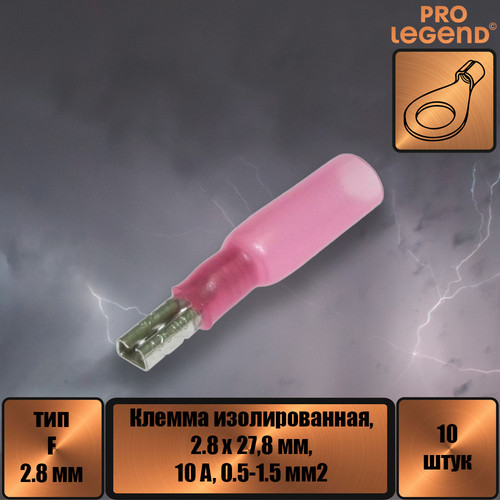 PL2894.jpg