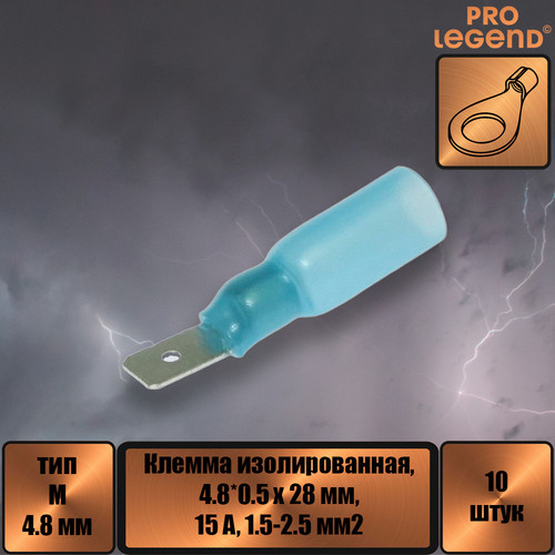 PL2892.jpg