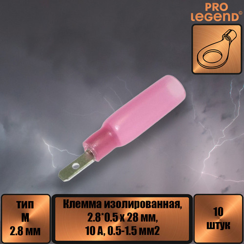 PL2886.jpg