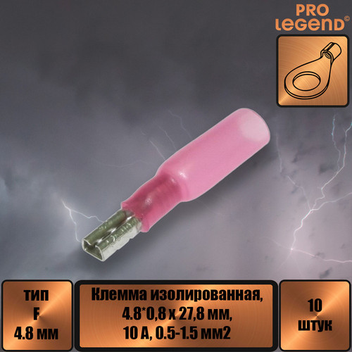 PL2896.jpg