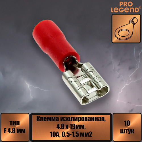 PL2873.jpg