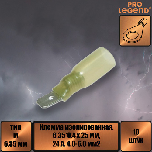 PL2893.jpg