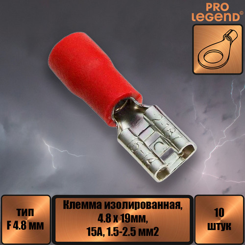 PL2877.jpg
