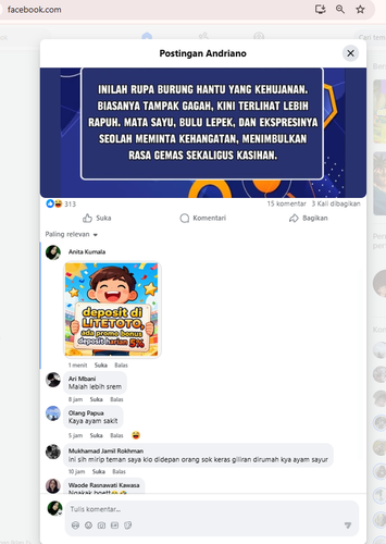 Screenshot 24.png