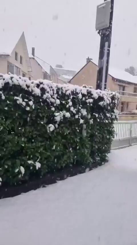 nZY CLJmNXr82pXk.jpg