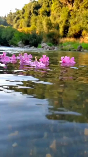 ch7mtw tkhU85cVy.jpg