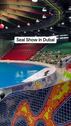 5SPp8 3 6RyaS899.jpg