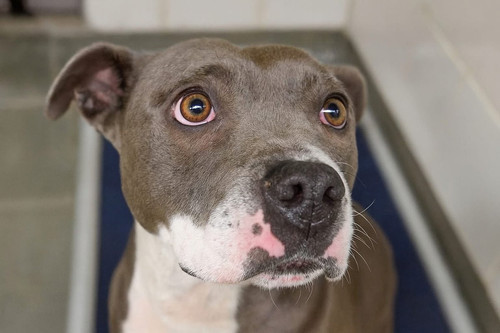 G5g lPaXIAAyMtI?format=jpg.jpg