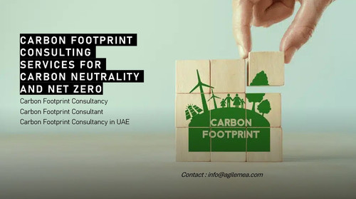 Carbon footprint.jpg