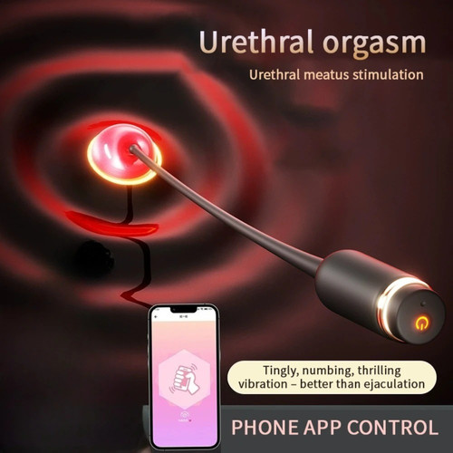 8 S09b57a386d924005a6b4f325b02bb106W.jpg