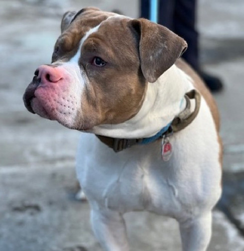 G8UN 40WAAEvkL6?format=jpg.jpg