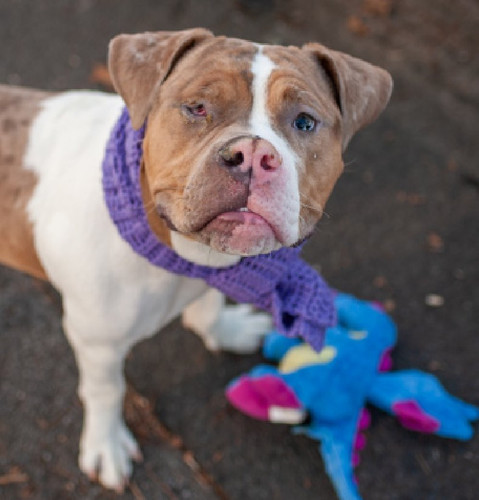 Gg8J xVXAAAAPvS?format=jpg.jpg