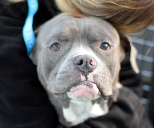 G67n ZDbkAMo3iJ?format=png.png