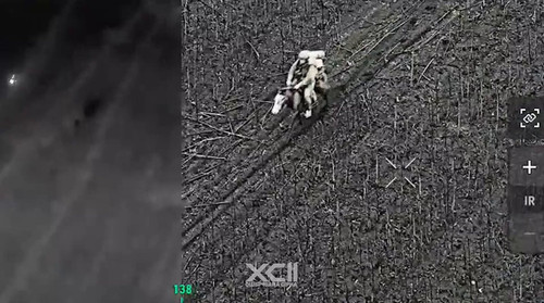 s QCJpDVgJXVqOG1.jpg