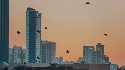 n282 uBZCv4boXoJ.jpg