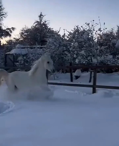 9Hzg1hLXFC ux3Mm.jpg