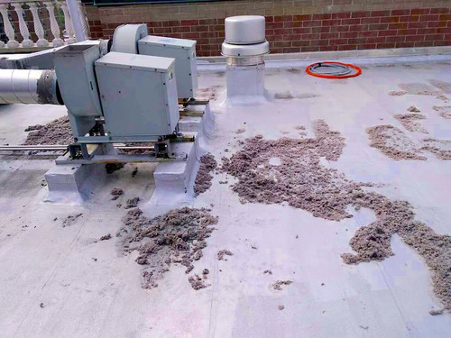 Atlantic Air Duct & Dryer Vent Cleaning Staten Island NY.jpg