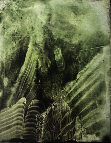 IMG 2335.png
