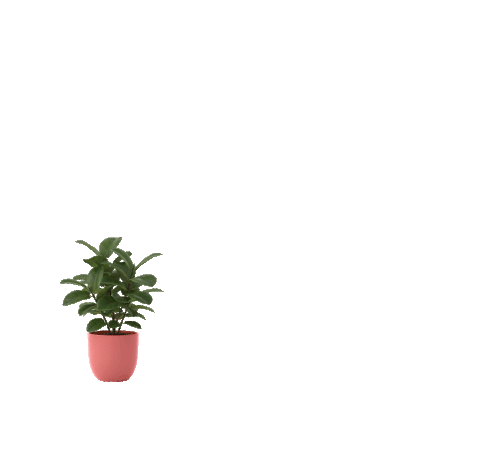 p.gif