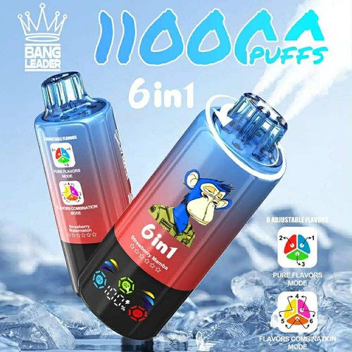 Bang Leader 110K Puffs 6 in 1.jpg