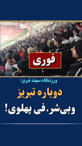 xste98 nk iSJp3 .jpg