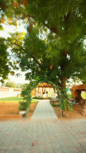 J s2lQqk7m2567ld.jpg