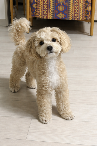 ChatGPT Image 2025년 12월 23일 오후 06 26 17.png