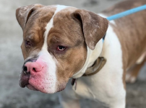 G8UN 8oX0AAvpah?format=jpg.jpg