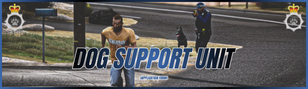DSU.png
