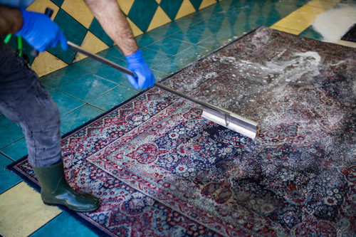 Carpet chemical cleaning with brush..jpg