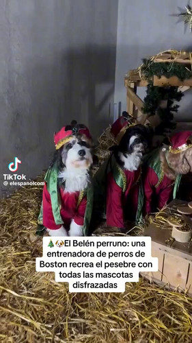 P X8YI3L0 s vgNK.jpg