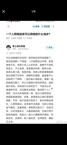 IMG 8205.png