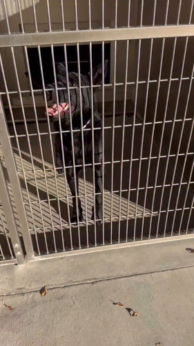 ac2DBcm0EEjr RPg.jpg