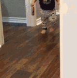 14649089.gif