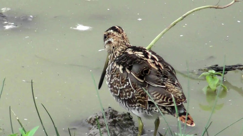 jEr4Mr OLAHdYl2Z.jpg