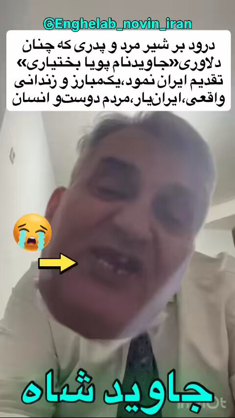 wLf7W54MCFEYRB B.jpg