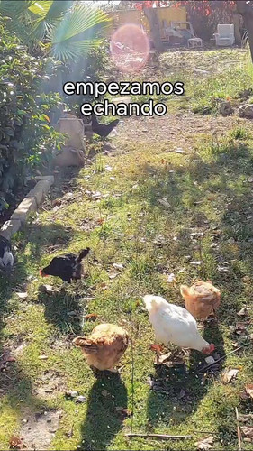 zWqHLDr F O0IYV2.jpg