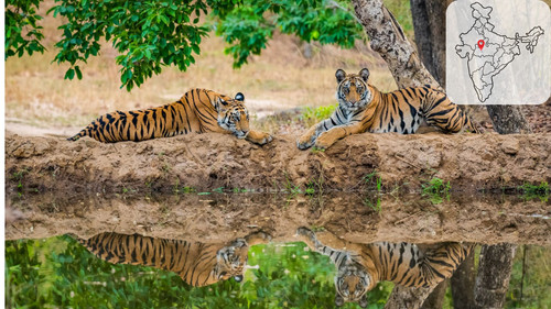 Untitled design 2025 12 23T131847.907.jpg