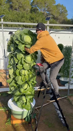 F wrpcN2Ol3sZO4w.jpg